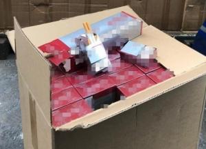 В Одессе выявили контрабандные сигареты на 20 млн гривен (фото)