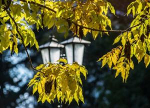 В Киеве новый температурный рекорд: самая теплая ночь за 140 лет