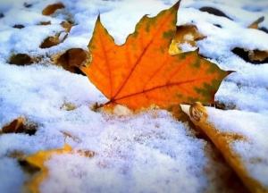 Прогноз погоды на 21 ноября: в Украине будет холодно и ветрено