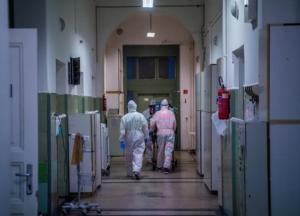 В Луцке покончила с собой мать девочки, умершей от отравления каштанами