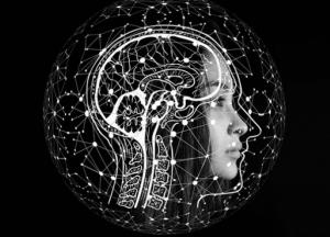 Определена причина любви к алкоголю и сладостям