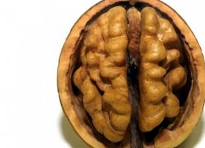 Ученые рассказали как замедлить старение человеческого мозга