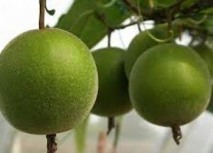 Ученые назвали фрукт, продлевающий жизнь 