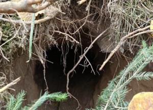 Для ухилянтів з України: на польсько-білоруському кордоні виявили тунель, яким тікають від мобілізації (фото)