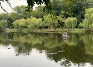 Погода в Україні: циклон відступає, очікується потепління з сонцем