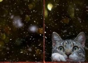 Прогноз погоды на 6 января: плюсовая температура и снег с дождем