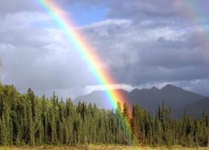 Ученые высчитали размер радуги