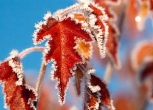 Прогноз погоды на 22 ноября: начинаются морозы (карта)