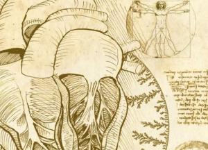 Ученые разгадали медицинскую загадку Леонардо да Винчи