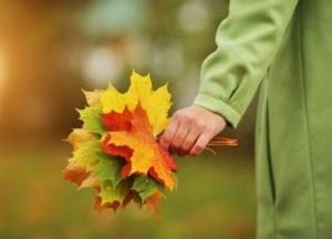 Заморозки ночью: какой будет погода в ближайшие дни