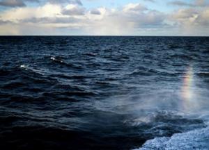 Мужчина нашел на пляже бутылку с посланием из прошлого века (фото) 