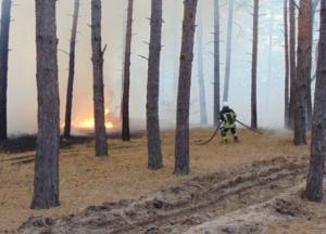 На Луганщине масштабные пожары, эвакуируют села (фото, видео)