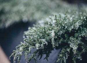 Прогноз погоды на 18 января: в Украину возвращаются морозы