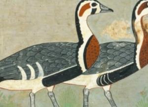 Ученые разгадали тайну египетской фрески, которой 4,6 тыс. лет