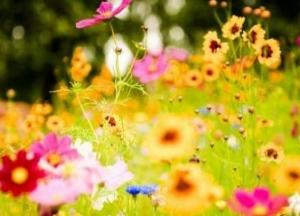 В Украину придет жара, но с дождями: синоптик дал прогноз до конца мая