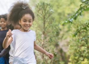 Чем больше деревьев, тем выше IQ: ученые назвали лучшее место для жизни