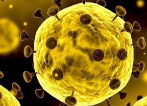 В Чехии зафиксированы первые случаи коронавируса