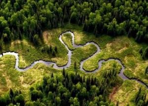 В тропиках Амазонии нашли средство от смертельного заболевания