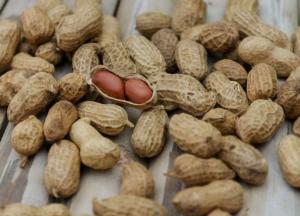 Медики назвали вредные для здоровья орехи 