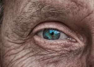 Медики назвали фрукт, который может предотвратить потерю зрения