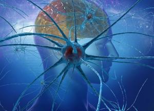 Ученые рассказали, какой свет действует разрушающе на головной мозг человека