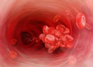 Врачи назвали симптомы появления тромбов в сосудах