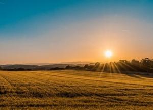 Под Киевом чиновник геокадастра "раздал" земли на 1,2 млрд грн