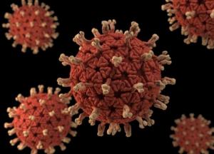 Ученые раскрыли тайну вируса, который убивает 200 тысяч человек ежегодно 