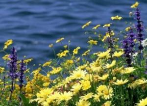 Прогноз погоды на 8 июня: будет жарко, пройдут кратковременные грозы