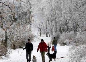 В Сибири зафиксировали температурный рекорд