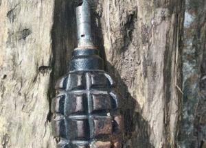 В Днепре дворник сидел с гранатой на детской площадке и распивал алкоголь