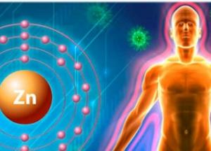 Названы признаки, указывающие на дефицит цинка в организме