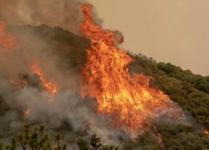 Дым от пожаров в США достиг Европы