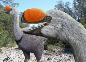 Ученые воссоздали облик птицы, жившей 50 тысяч лет назад