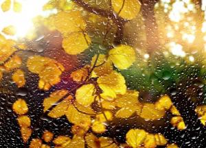 ​И дождь, и солнце: погода на выходные 20–21 ноября