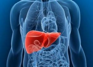 Названы опасные продукты для печени