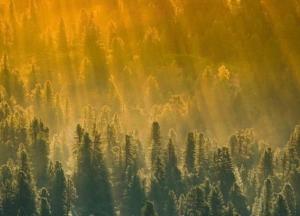 Прогноз погоды на 23 июля: в Украине будет тепло и солнечно