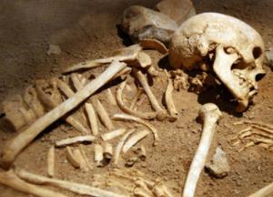 На окраине Николаева нашли человеческие кости