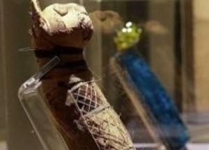Ученые выяснили, что находится внутри мумии кошки возрастом 2500 лет