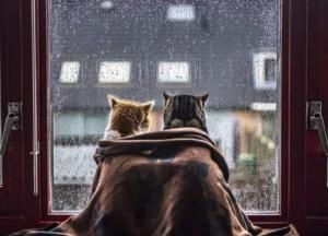 Прогноз погоды на 9 июня: будут лить дожди, местами грозы и град