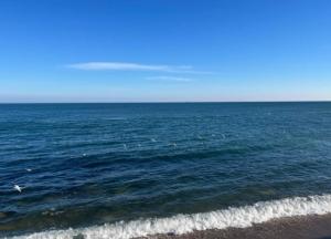 Приліт в Одесі: жінці відірвало руку, поранено чоловіка, який був за кермом автомобіля
