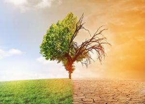 Глобальное потепление: ученые назвали страны, которым грозит скорое исчезновение 