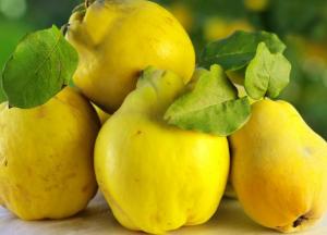 Врачи назвали фрукт, помогающий при расстройствах пищеварения