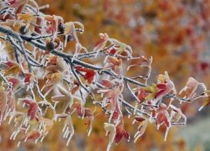 Прогноз погоды на 31 октября: резко похолодает (карта)