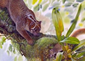 Ученые нашли неизвестного ранее "мини-льва", жившего миллионы лет назад