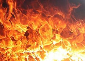 На Киевщине произошел крупный пожар на птицефабрике