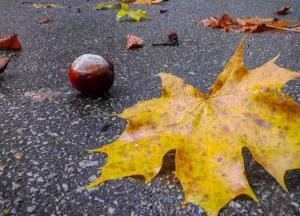 Прогноз погоды на 21 октября: в Украину возвращается осеннее тепло