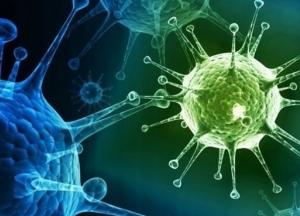 Врожденный иммунитет к COVID-19 может иметь до 50% людей - ученые