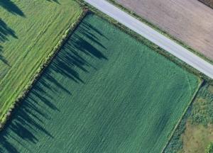 В Украине могут разрешить продажу земли через интернет: комитет поддержал закон
