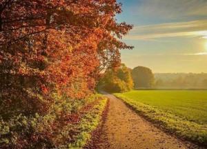 Прогноз погоды на 2 октября: ночные заморозки и до +17 градусов днем: